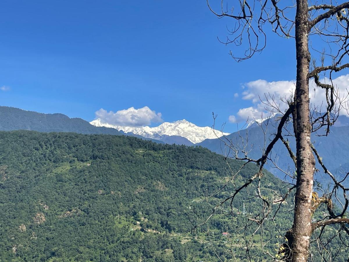 Khimsha Homestay Pelling Eksteriør billede