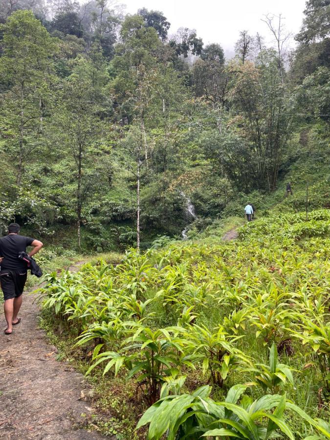 Khimsha Homestay Pelling Eksteriør billede