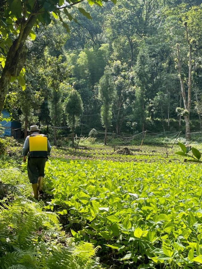 Khimsha Homestay Pelling Eksteriør billede