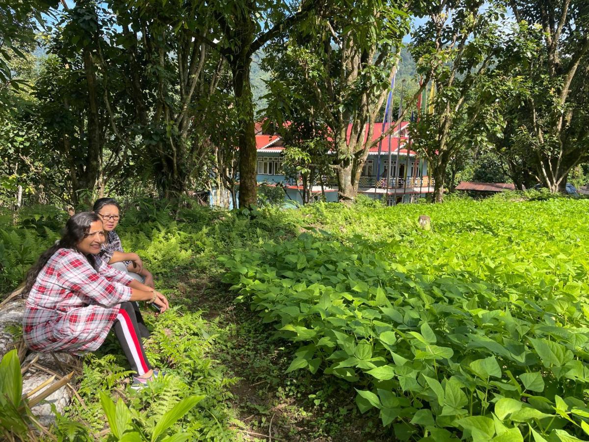 Khimsha Homestay Pelling Eksteriør billede